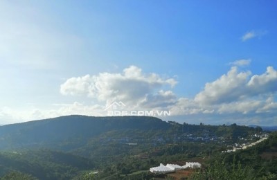 BÁN GẤP LÔ ĐẤT RỘNG VIEW THOÁNG ĐƯỜNG PHƯỚC THÀNH – ĐÀ LẠT 4000m2 GIÁ CHỈ 10tr/m2